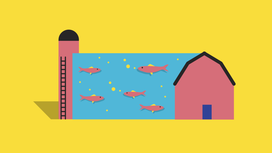 fish farms of the future