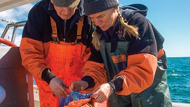 Mainebiz article on aquaculture startups