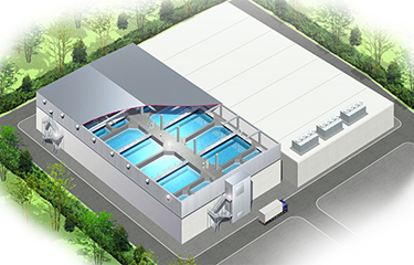 Land-based aquaculture gets a boost from denitrification technology